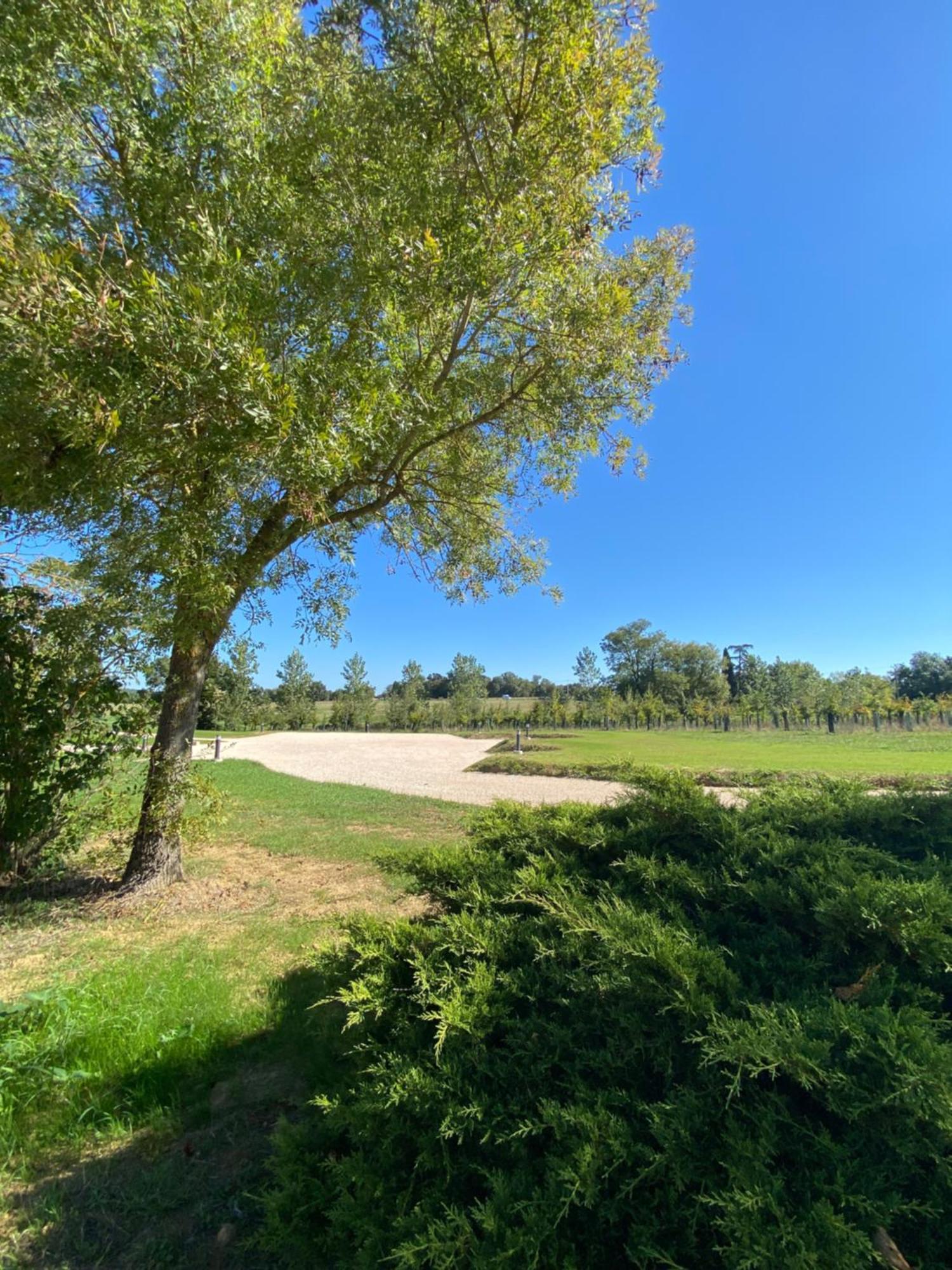 Gite Clara - Domaine Du Catalan Aubiet Екстер'єр фото